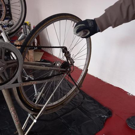 Affittacamere Appartamento Colorato Ferrara Eksteriør billede